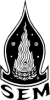 LogoSEM